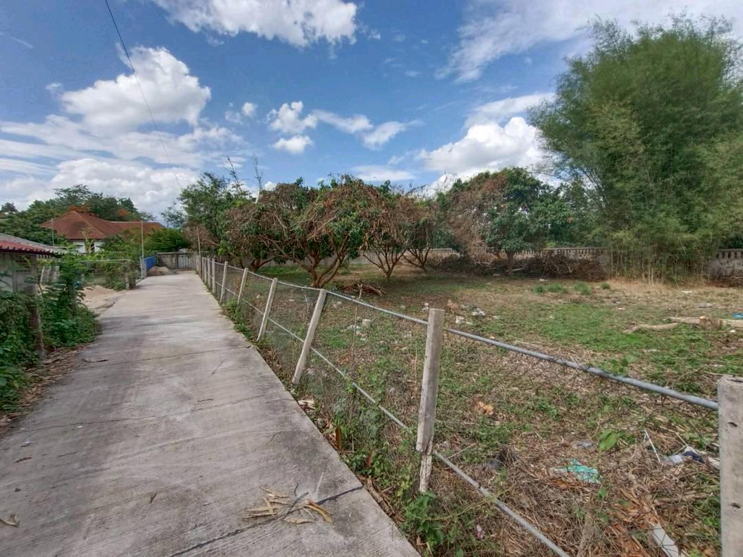 🏡 ที่ดินน้ำแพร่–หางดง
ของดี ราคาต่ำกว่าตลาดชัดเจน
 – รูปที่ 4