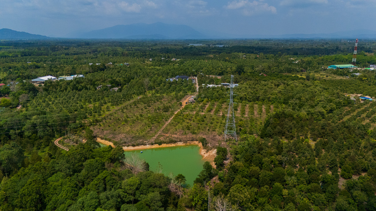 Durian orchard for sale, 17 rai, good location, next to Mueang Chanthaburi District, water and electricity ready. – รูปที่ 3