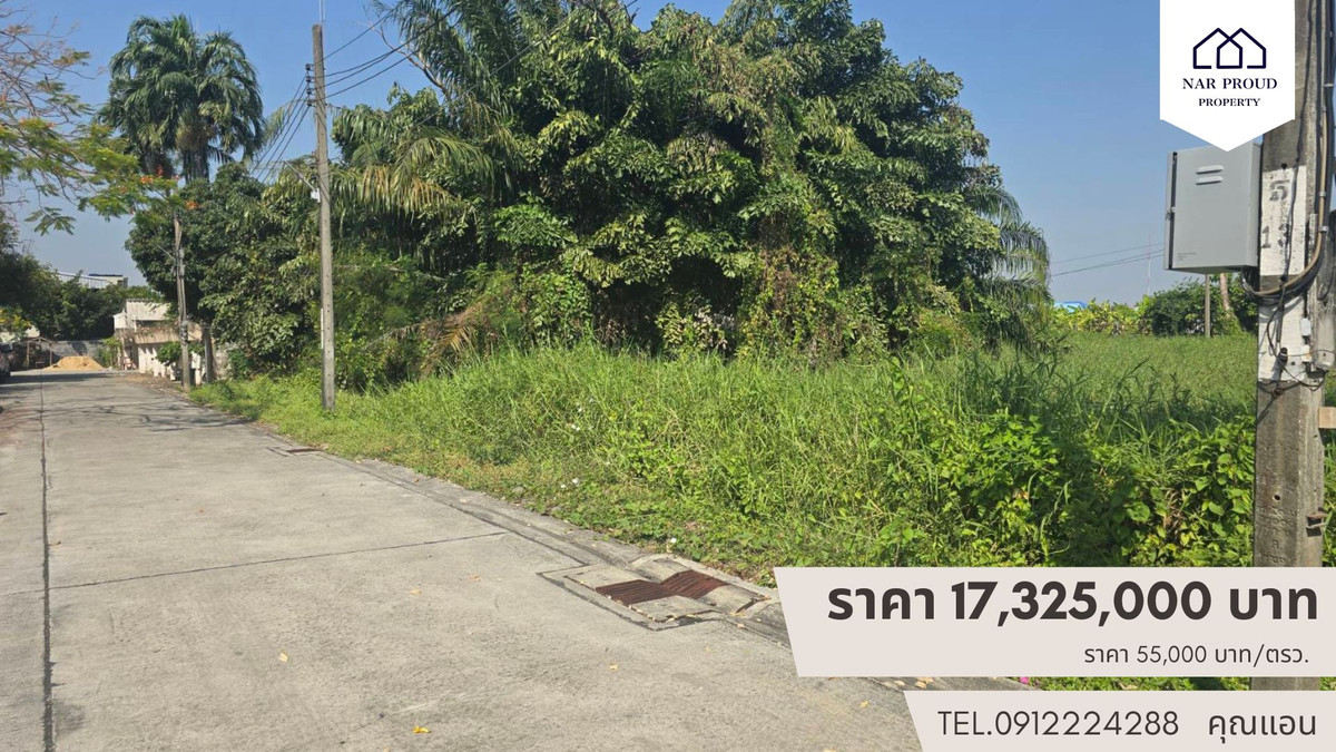 ที่ดิน 315 ตรว. ซอยสุขาภิบางบางระมาด – รูปที่ 2
