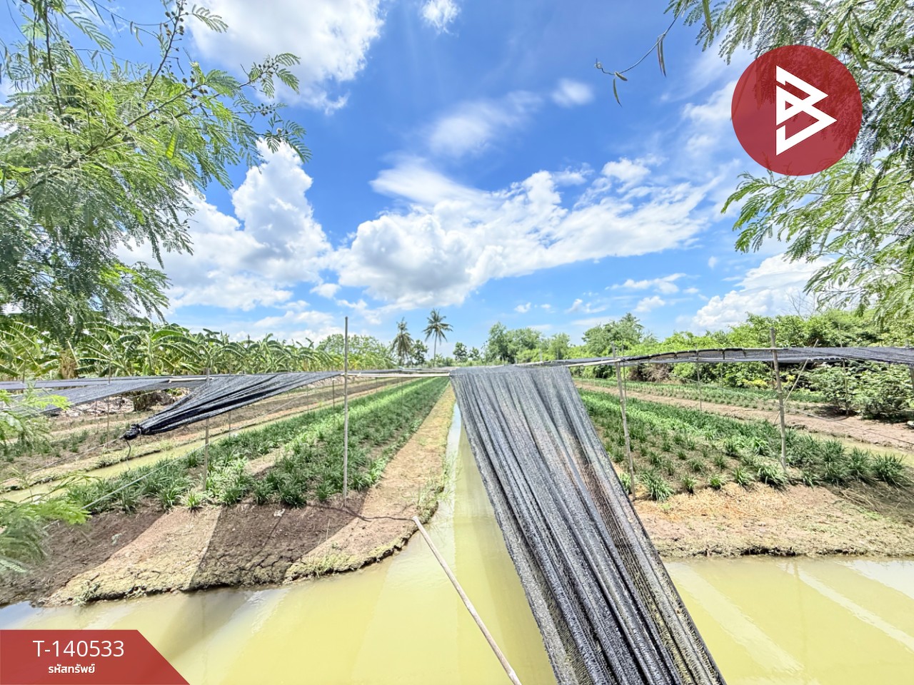 Land for sale, area 3 rai 3 ngan 24 sq m, Nakhon Chai Si, Nakhon Pathom. – รูปที่ 2