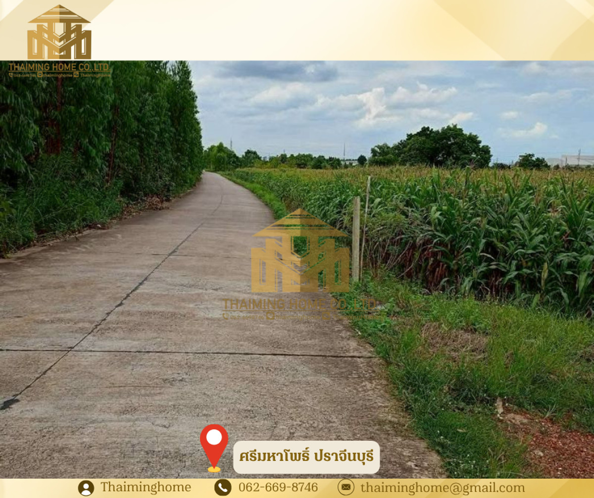 Land for sale in Prachinburi Purple area in Rojana Industrial Estate, Red Garuda title deed, area 23 rai, Prachinburi (TL8-126) – รูปที่ 2