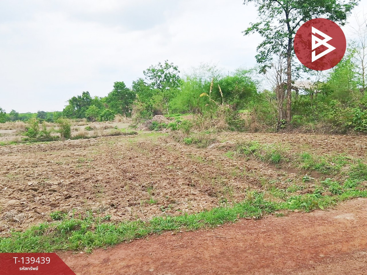 Land for sale, area 18 rai 3 ngan 33 square wah, Phon Phisai District, Nong Khai. – รูปที่ 2