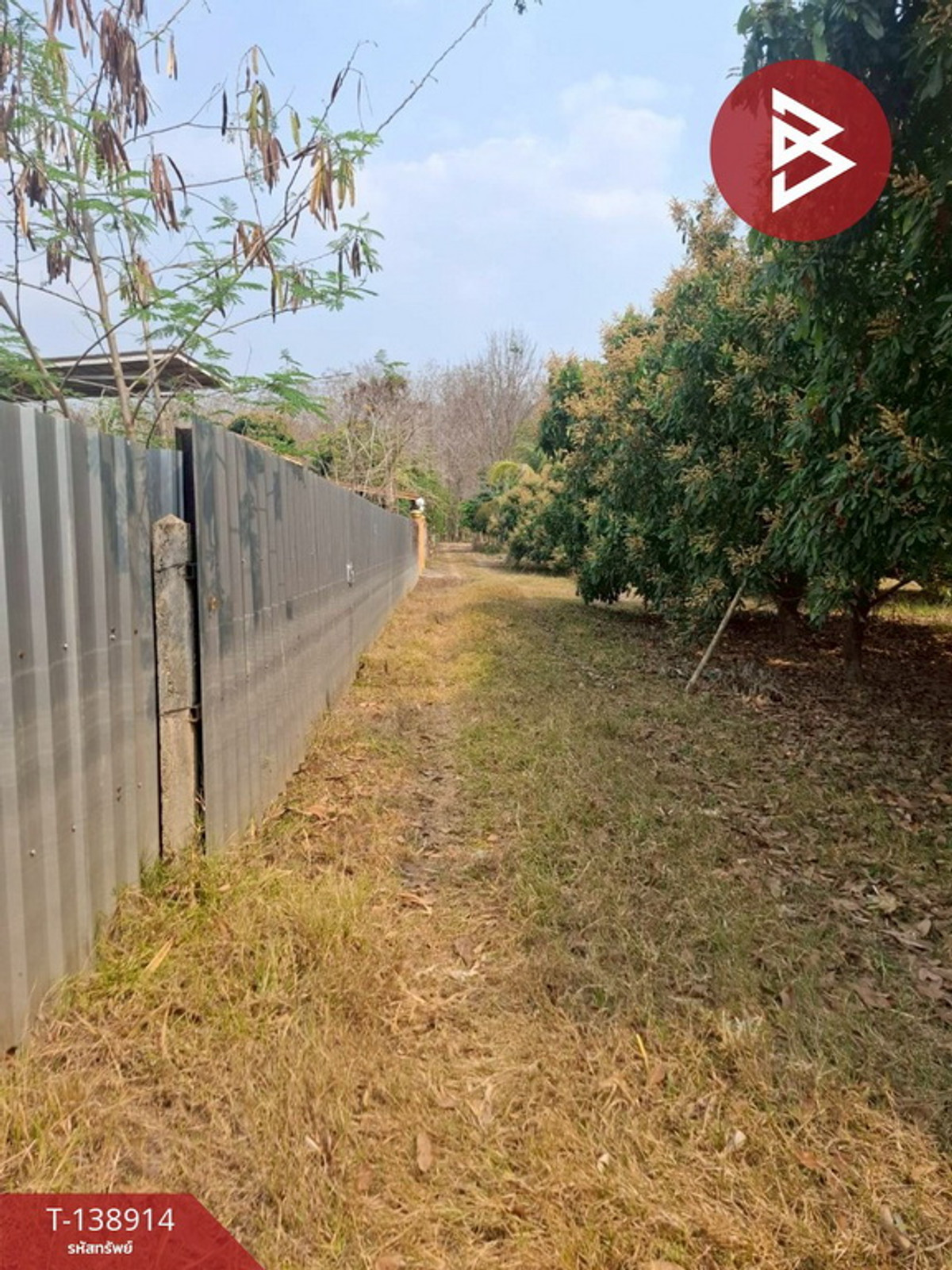ขายที่ดิน เนื้อที่ 1 ไร่ เทิง เชียงราย – รูปที่ 4