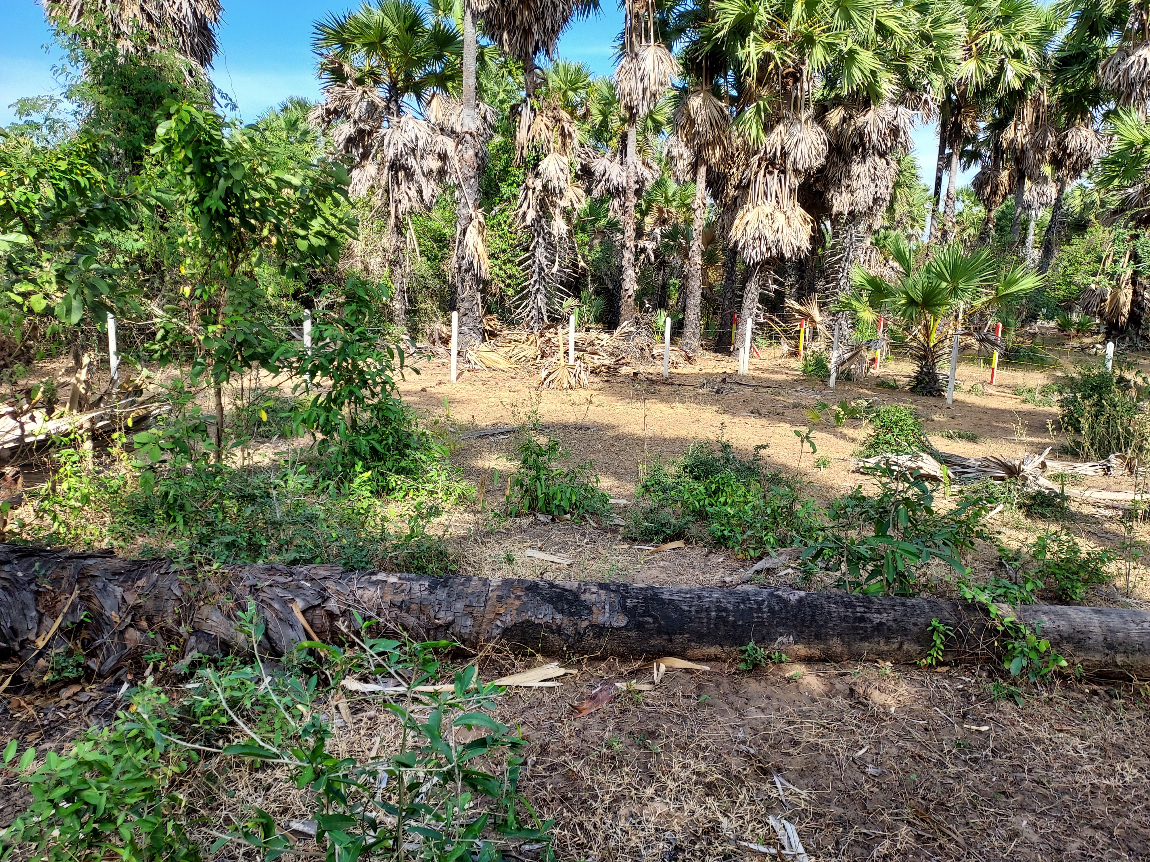 Want to urgently sell vacant land near Sofitel So Hua Hin Hotel and the emerging beachside cafe area in the area. – รูปที่ 3