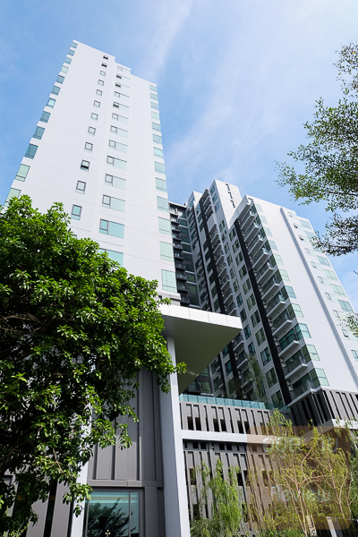 🔥 ขาย 🔥 ริทึ่ม สุขุมวิท 36 - 38 - Rhythm Sukhumvit 36 - 38 / สตูดิโอ E169 – รูปที่ 3