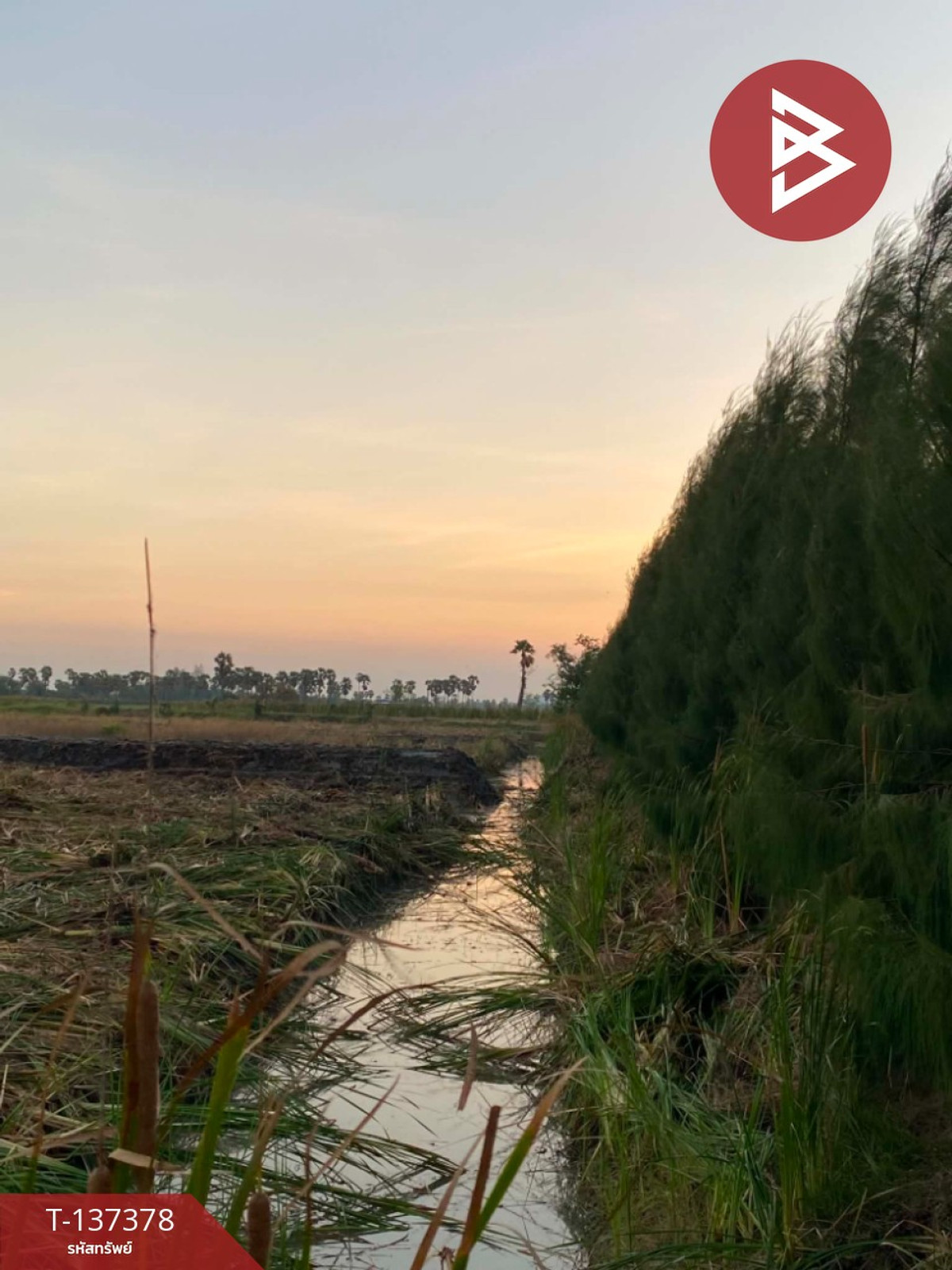 Beautiful land for sale, area 18 rai 2 ngan 94 square wah, Bang Chan Subdistrict, Phetchaburi. – รูปที่ 2