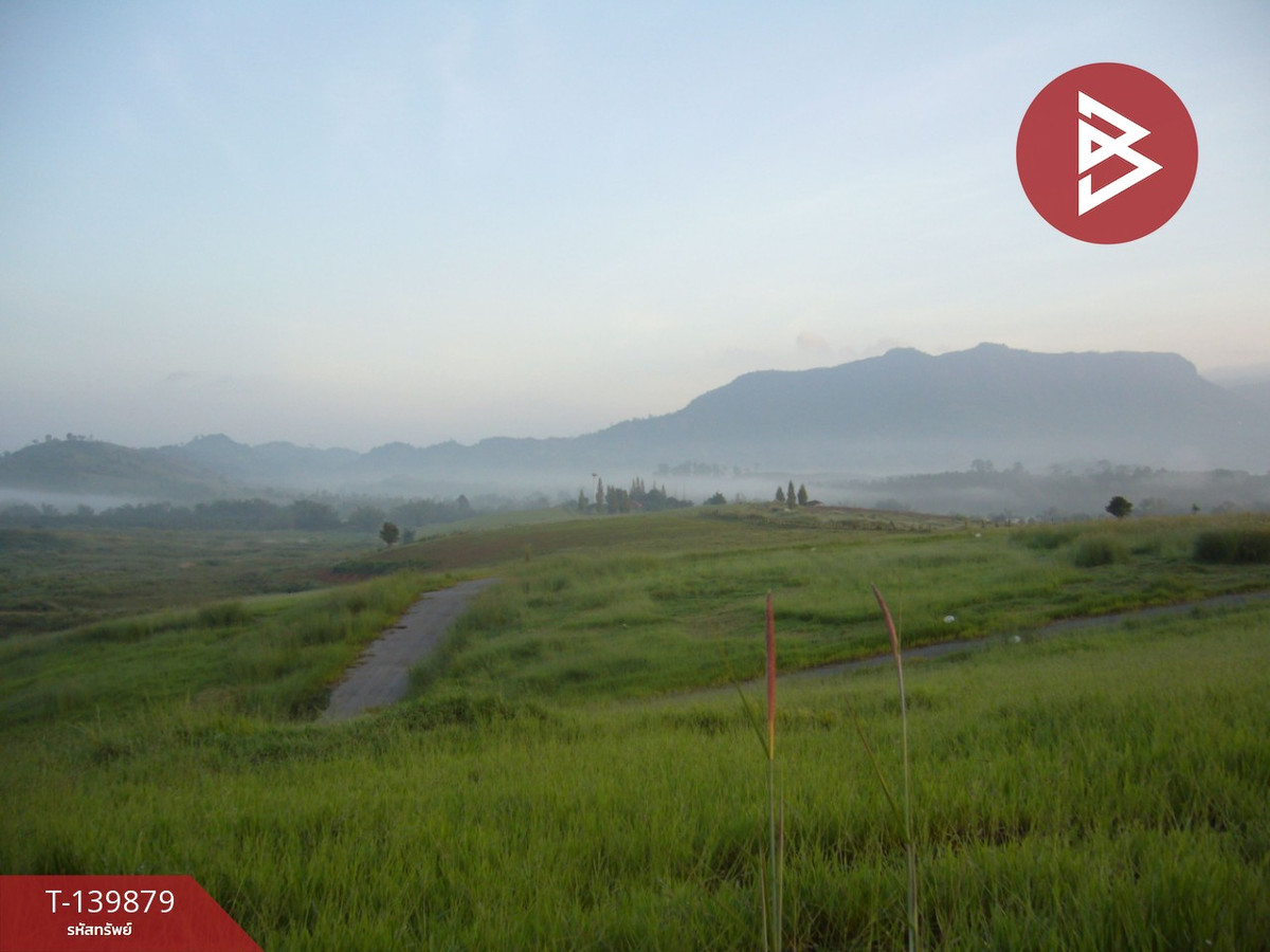 Land for sale, area 1 ngan, 84.4 sq m, Khao Kho, Phetchabun. – รูปที่ 4