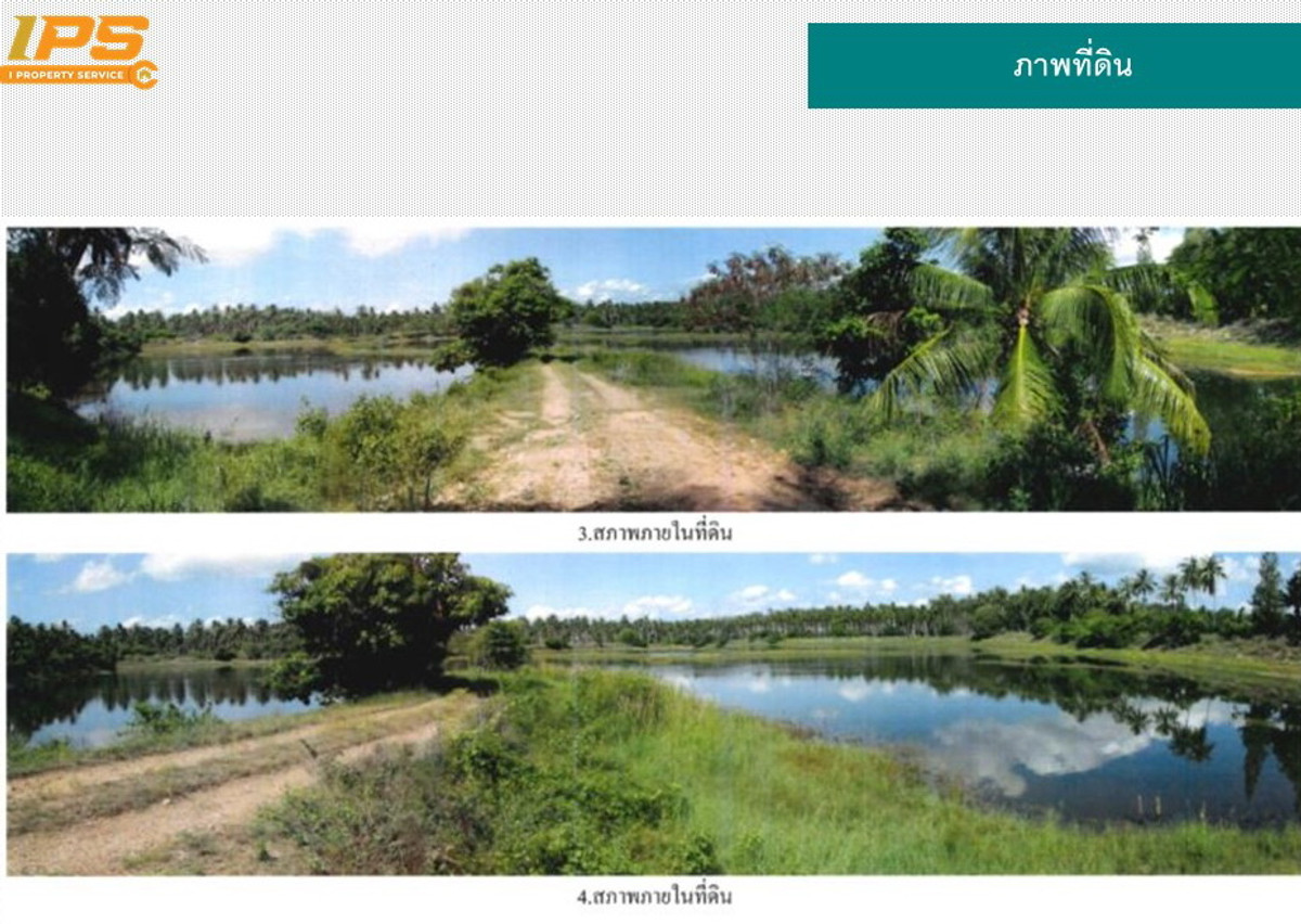 ขายที่ดิน 47 ไร่ ถ.สายบ้านกลางนา-บ้านยายพลอย (ปช.4045) อ.บางสะพาน จ.ประจวบฯ – รูปที่ 2