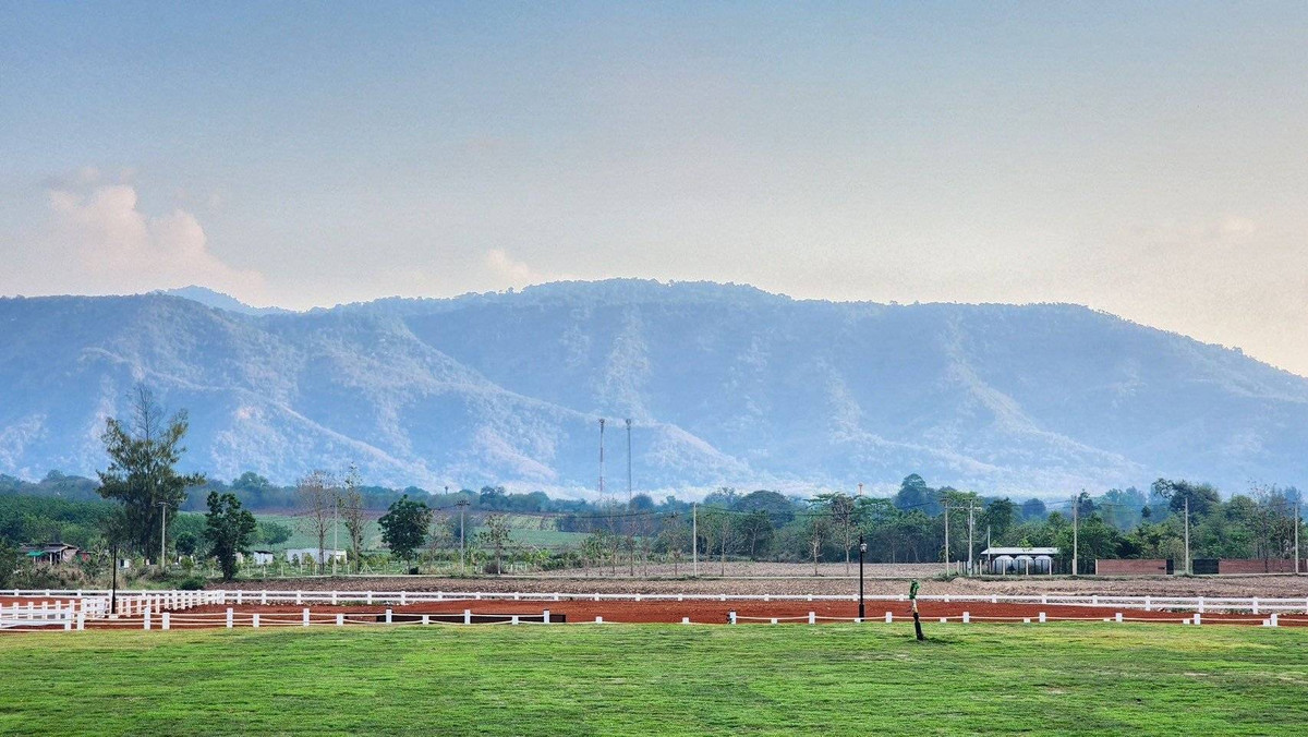  ภูภิรมย์ เขาใหญ่ – SPRING SEASON  