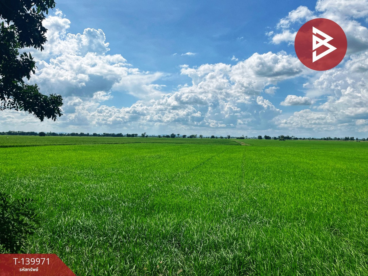 Land for sale, area 6 rai 2 ngan 41 sq m, Wat Sing, Chainat. – รูปที่ 4