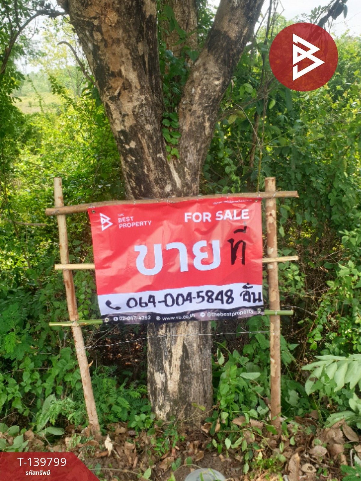 Land for sale, area 9 rai, Kham Toei, Nakhon Phanom. – รูปที่ 2