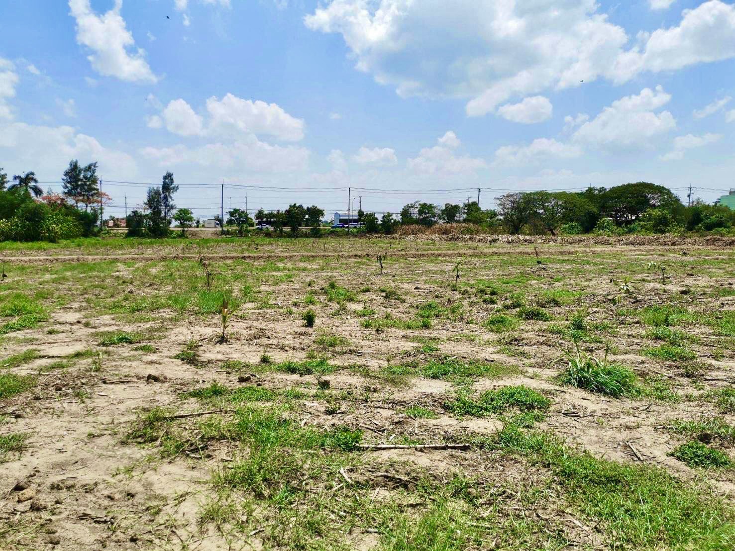 🔥Rare Plot Kamphaeng Saen | For sale / rent land next to the main road, Malai Man, 16-3-87 rai, near M81, only 15 minutes, near Kasetsart University, Kamphaeng Saen, suitable for investment / EV Charging Hub / Logistic – รูปที่ 2