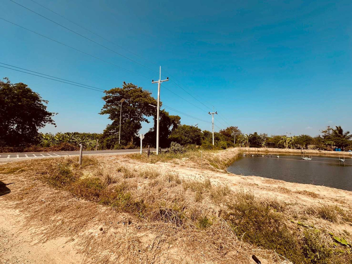 ขายที่ดิน อำเภอกำแพงแสน 12 ไร่ 1 งาน 77 ตร.ว. ใกล้ มหาวิทยาลัยเกษตรศาสตร์ กำแพงแสน – รูปที่ 4