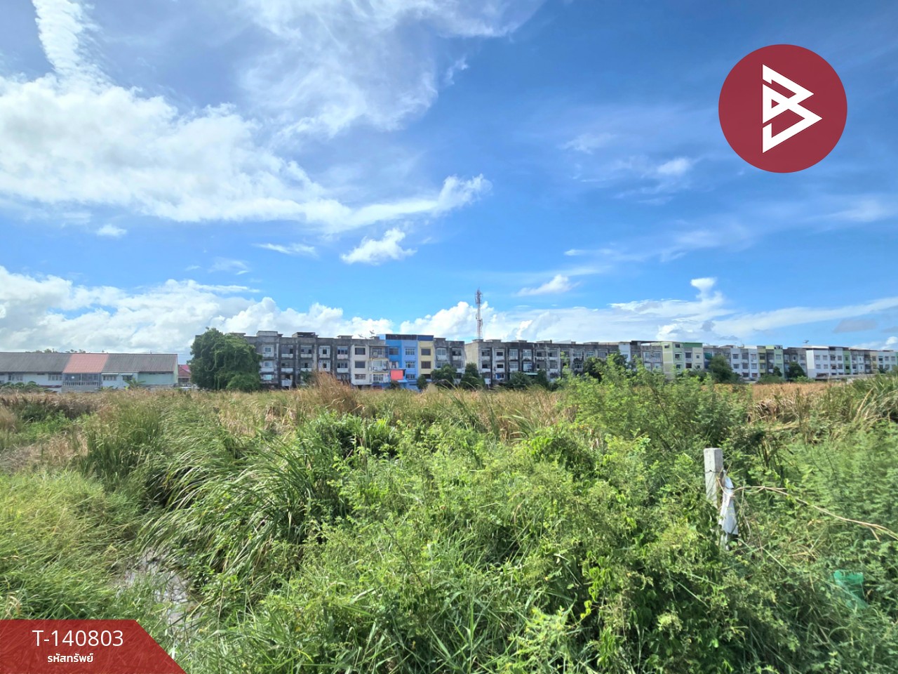 ขายที่ดิน เนื้อที่ 3 งาน 30 ตร.วา บางปู สมุทรปราการ – รูปที่ 2