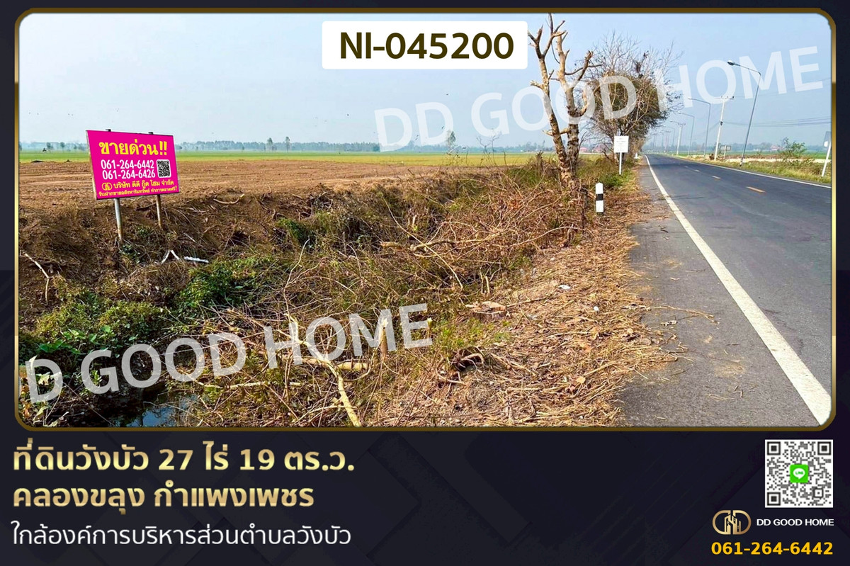 Land for sale in Wang Bua, 27 rai 19 sq.wah, Khlong Khlung, Kamphaeng Phet, near Wang Bua Subdistrict Administrative Organization. NI-045200 Land for sale in Wang Bua, 27 rai 19 sq.wah, Khlong Khlung, Kamphaeng Phet, near Wang Bua Subdistrict Administrative Organization. NI-045200