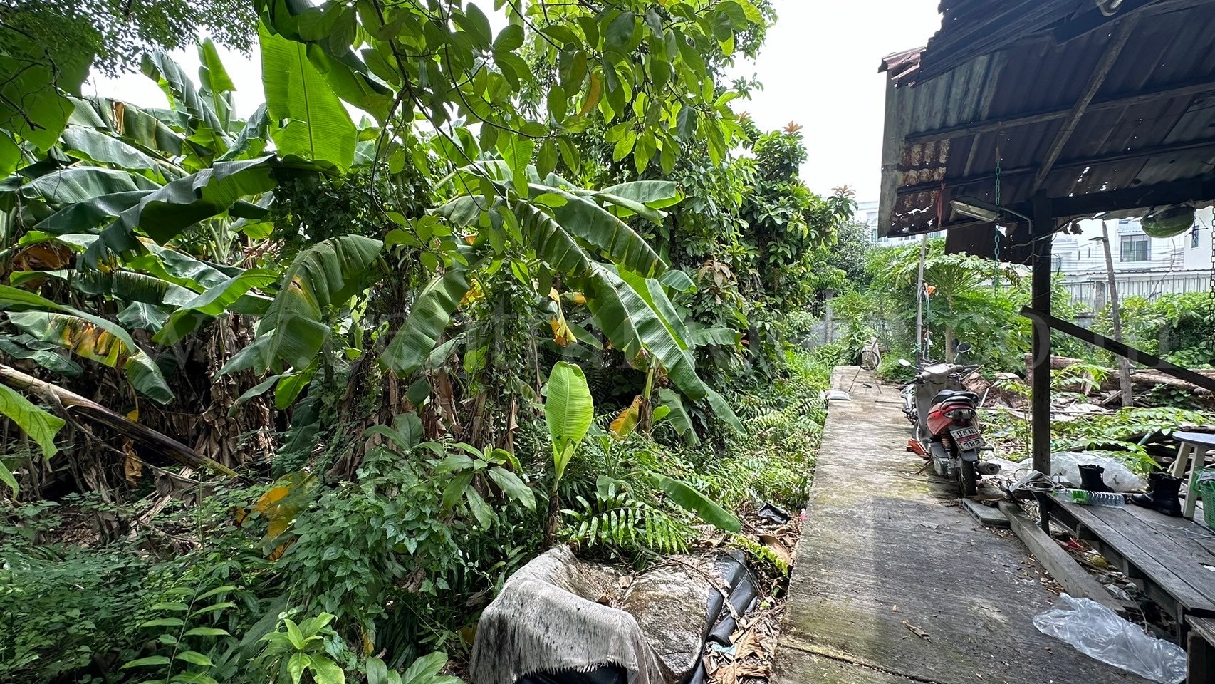 ที่ดิน 80.6 ตร.ว. ซอยจรัญสนิทวงศ์ 3 (ซอยสมชาย) ที่ริมคลอง ราคาถูกมาก – รูปที่ 3