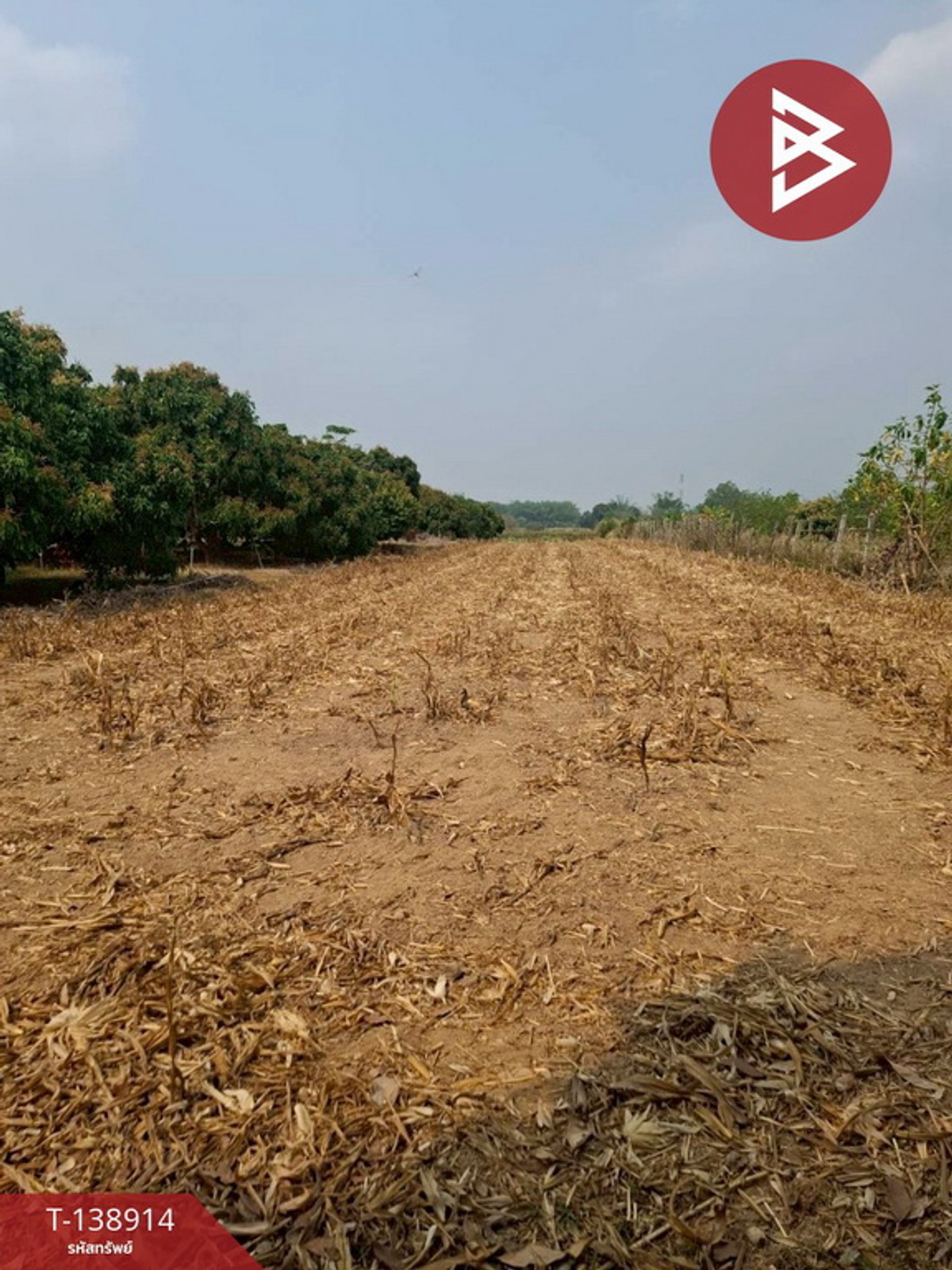 ขายที่ดิน เนื้อที่ 1 ไร่ เทิง เชียงราย – รูปที่ 2