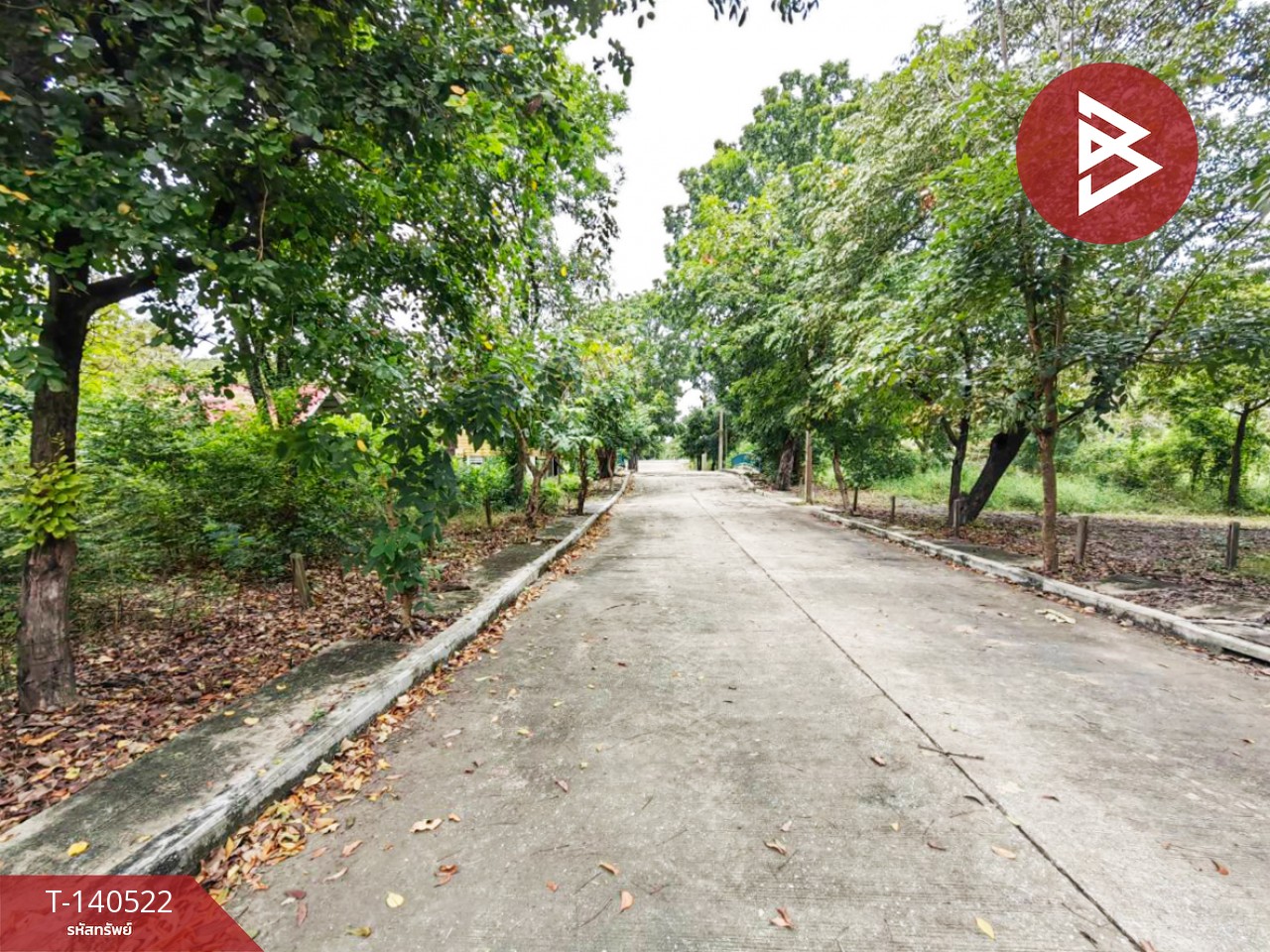 ขายที่ดิน เนื้อที่ 177.4 ตารางวา บ้านสวนริมคลองเจ้าพระยา บางปะอิน อยุธยาฯ – รูปที่ 4