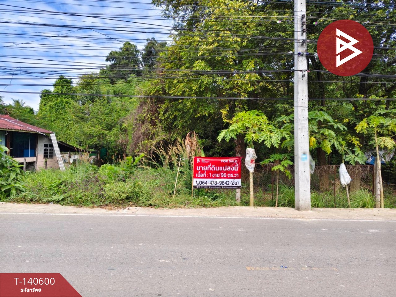 ขายที่ดิน เนื้อที่ 1 งาน 96 ตร.วา บ้านจั่น อุดรธานี ขายที่ดิน เนื้อที่ 1 งาน 96 ตร.วา บ้านจั่น อุดรธานี