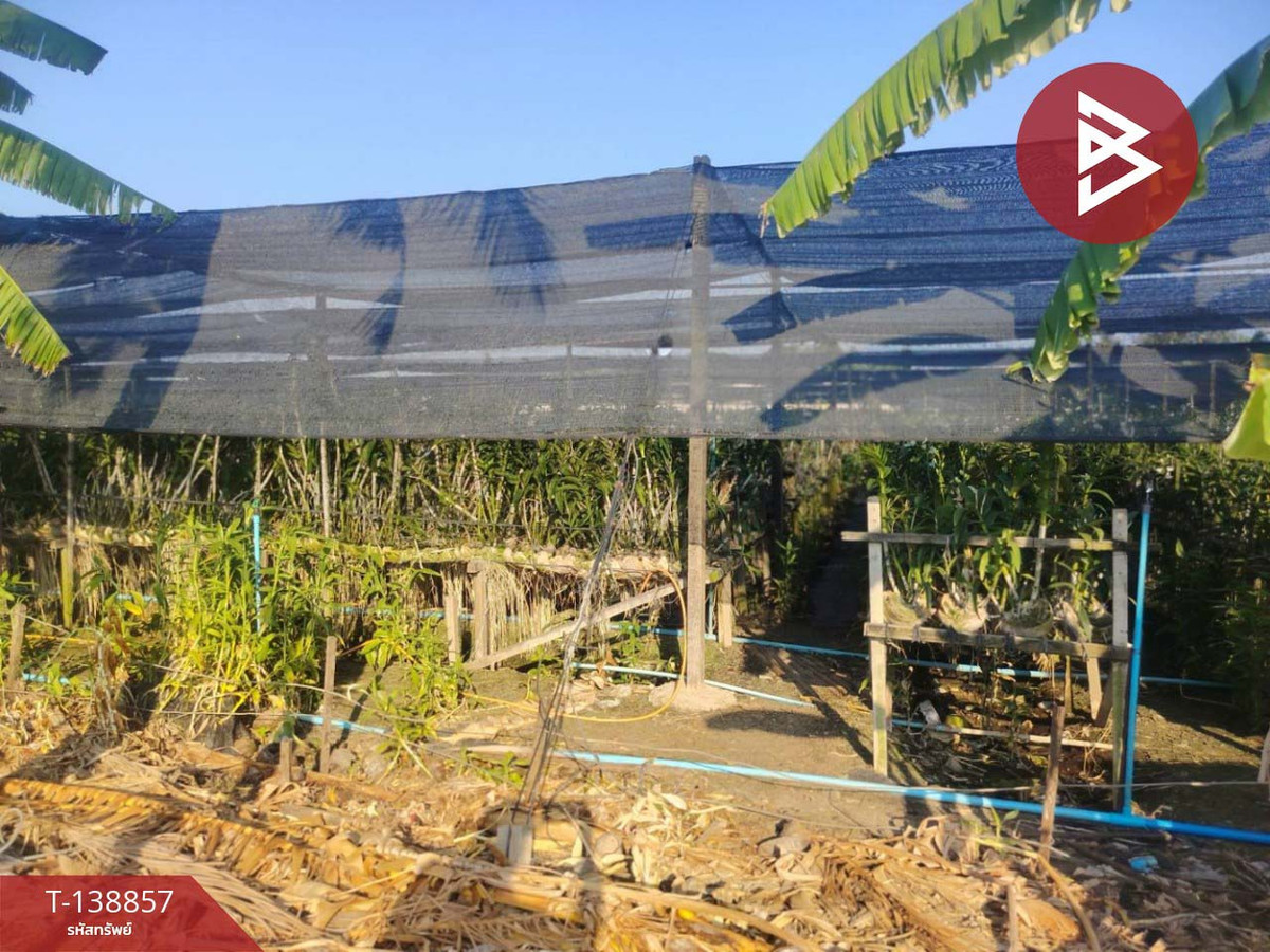 ขายที่ดิน เนื้อที่ 2 ไร่ 3 งาน 7 ตร.วา สามพราน นครปฐม – รูปที่ 3
