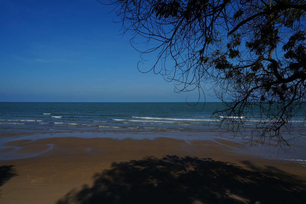 ขายที่ดินสวยวิวทะเลปราณบุรี ติดถนนเลียบชายหาด ตำบลปากน้ำปราณ 6-1-56 ไร่ หน้ากว้างติดถนนเลียบชายหาด : 56 เมตร ราคาขาย 120 ล้านบาท เฉลี่ยตารางวาละ 47,000 บาท  – รูปที่ 2