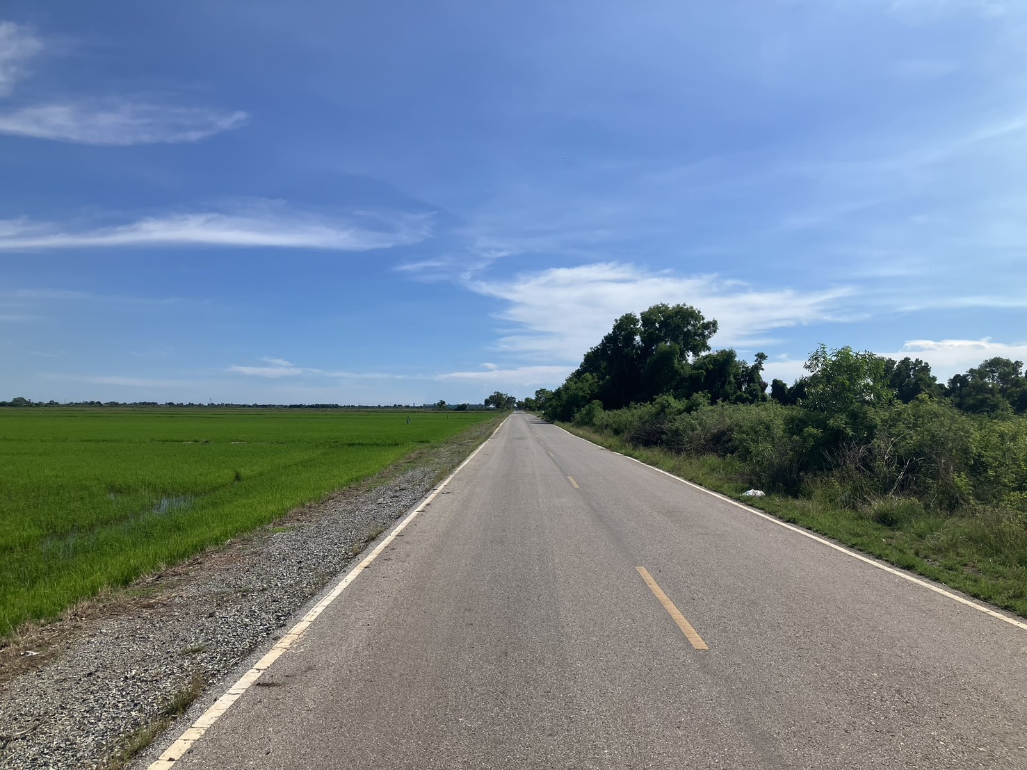 ขายที่ดินผืนใหญ่ 110 ไร่ ใกล้กรุงเทพฯ ทำโกดัง/จัดสรรได้ – รูปที่ 3