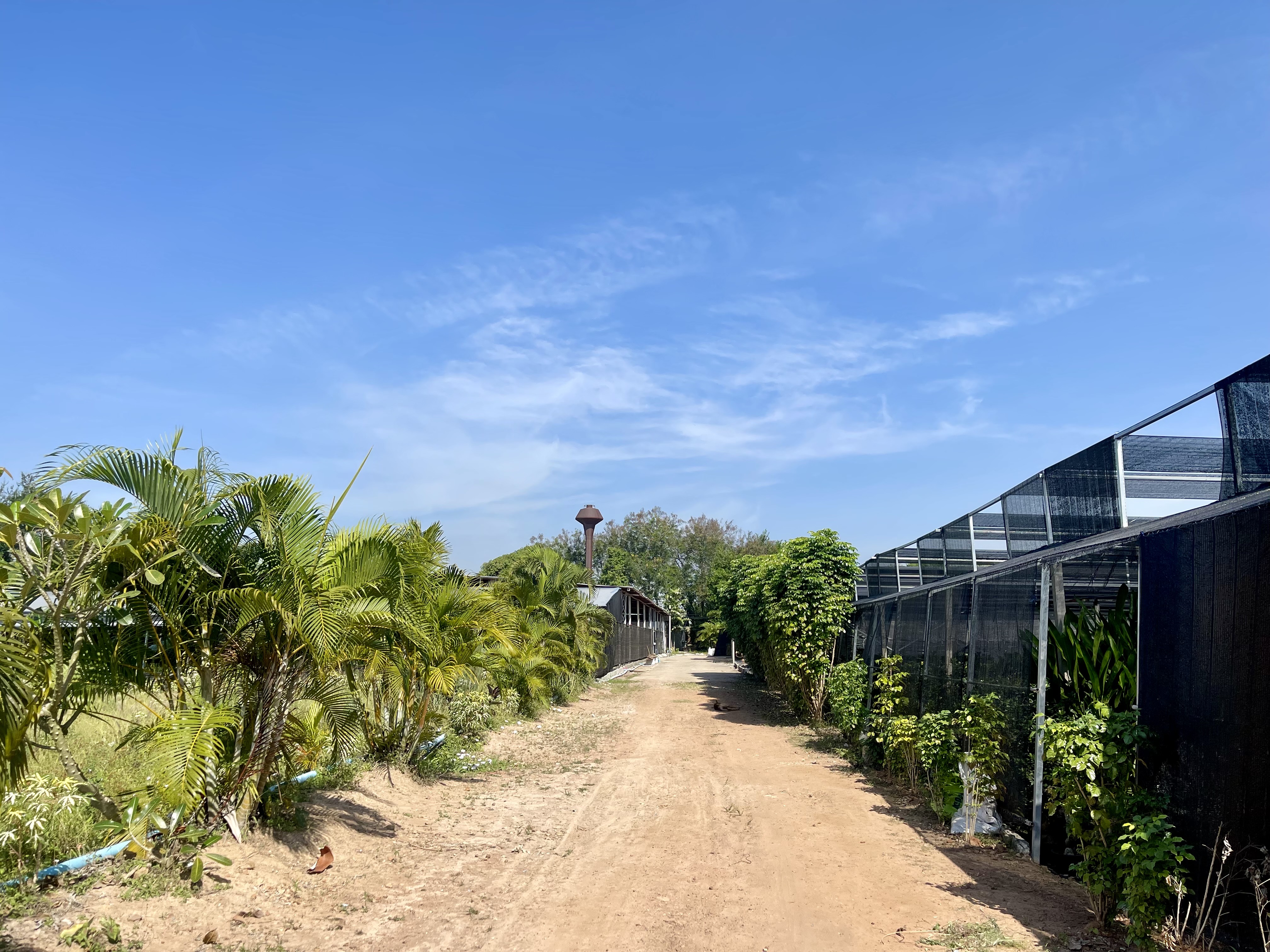 ขายที่ดินสวย ลดราคาพิเศษ พร้อมสิ่งปลูกสร้าง โรงเรือน  9 ไร่ ต.บ้านใหม่ อ.ท่าม่วง จ.กาญจนบุรี – รูปที่ 2