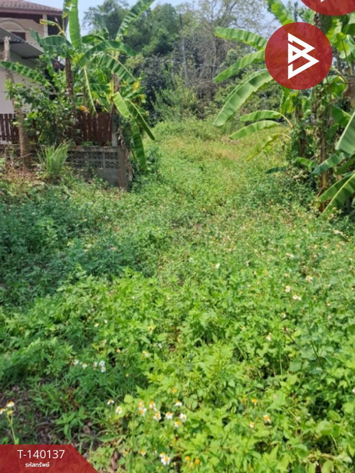 ขายที่ดิน เนื้อที่ 3 งาน 3 ตร.วา แม่กรณ์ เชียงราย – รูปที่ 4