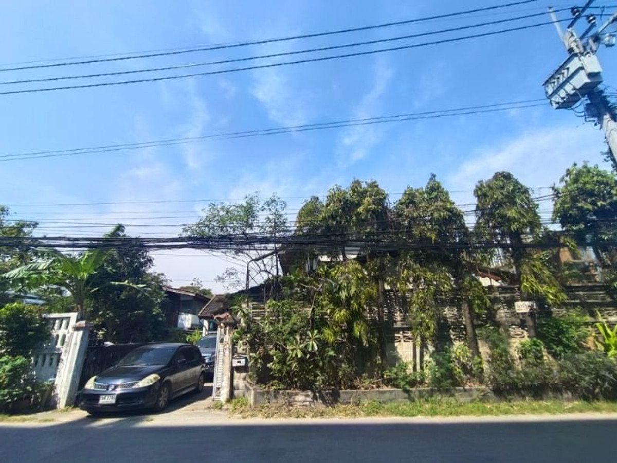 หาคนซื้อบ้านไปรีโนเวท ตามหาคนซื้อที่ดินใกล้BTSแบริ่ง ขายที่ดินพร้อมสิ่งปลูกสร้าง ซอยสันติคาม 10 หาคนซื้อบ้านไปรีโนเวท ตามหาคนซื้อที่ดินใกล้BTSแบริ่ง ขายที่ดินพร้อมสิ่งปลูกสร้าง ซอยสันติคาม 10