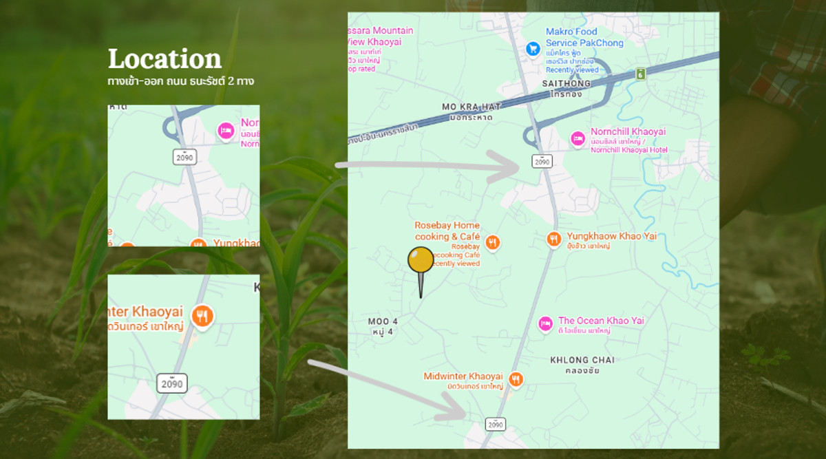 Land for sale in Pak Chong, Thanarat Road, front next to the road, width 258 meters.