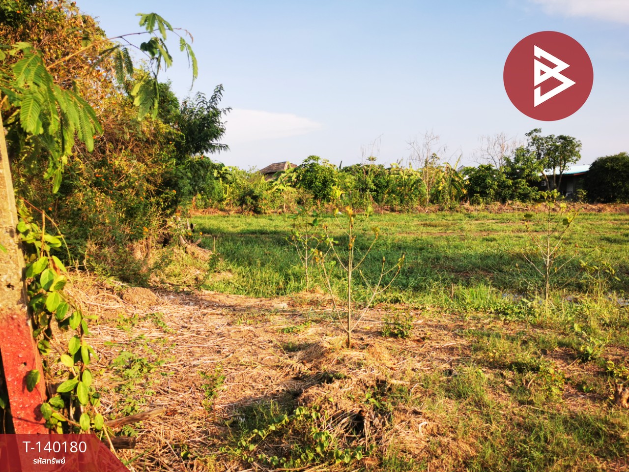 Land for sale, area 3 ngan 99 sq m, Bang Khu Wat, Pathum Thani. – รูปที่ 2