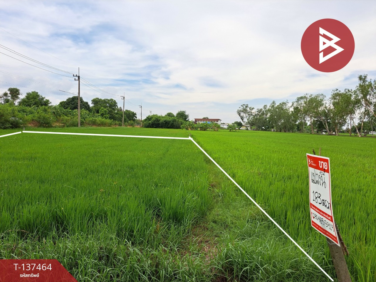 Land for sale, area 1 ngan 83 sq m, Phutthamonthon, Nakhon Pathom. – รูปที่ 4