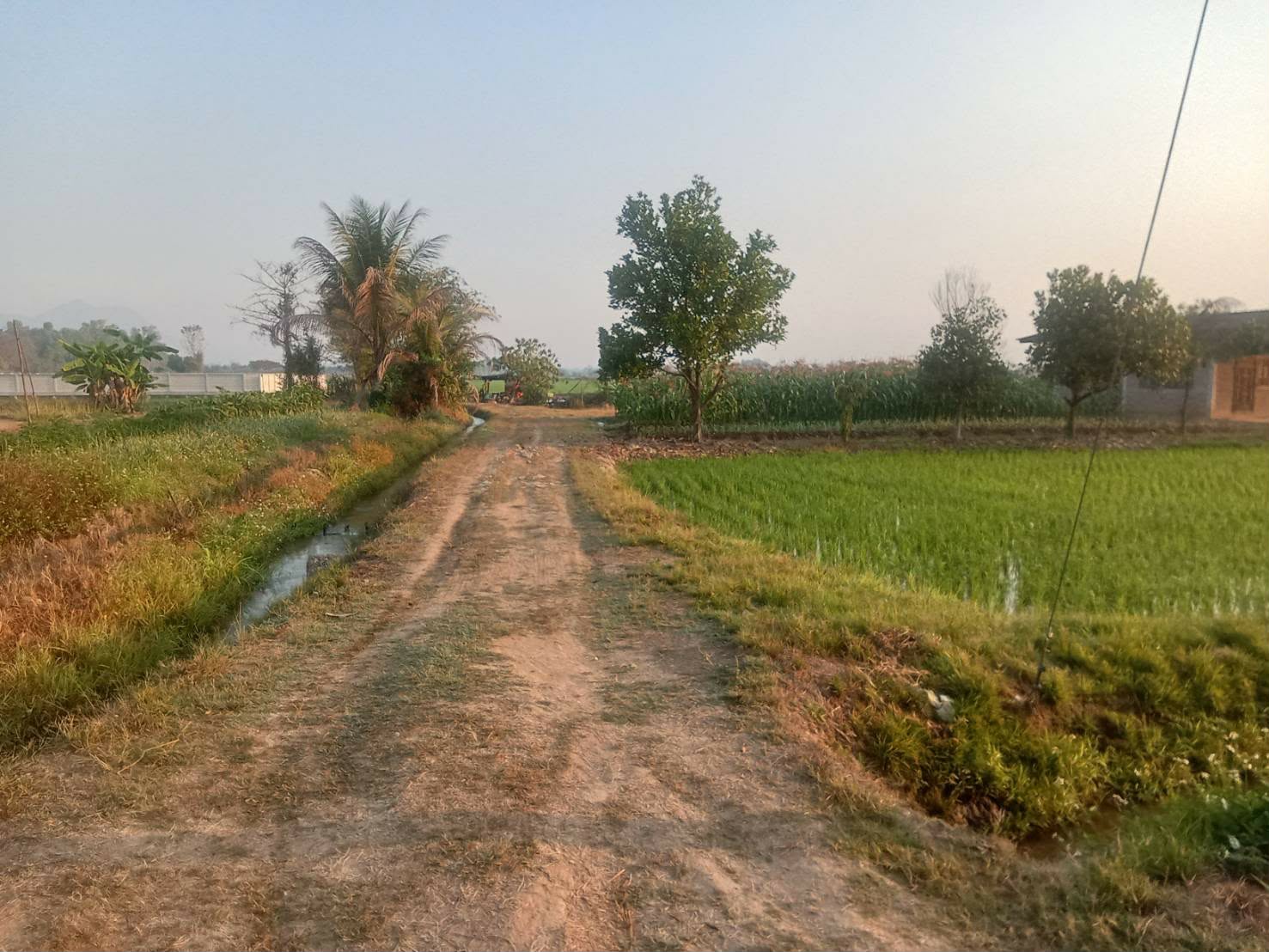 ขายที่นาสวยพร้อมบ่อปลาและโครงสร้างบ้าน อ.แม่จัน จ.เชียงราย (ติดถนนคอนกรีตของหมู่บ้าน) – รูปที่ 3