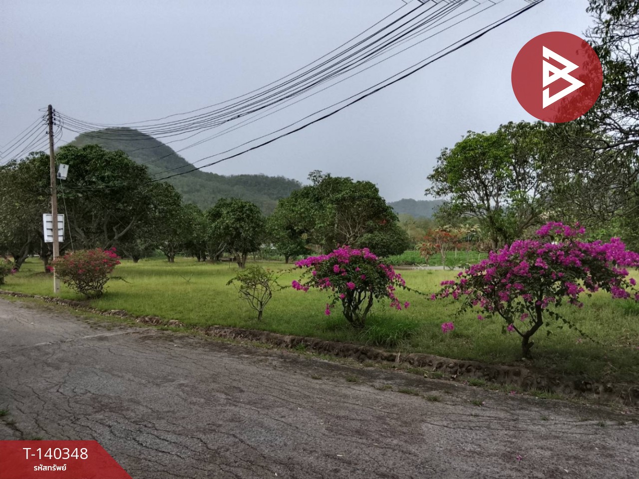 ขายที่ดิน เนื้อที่ 1 งาน 97 ตร.วา ปากช่อง นครราชสีมา – รูปที่ 3