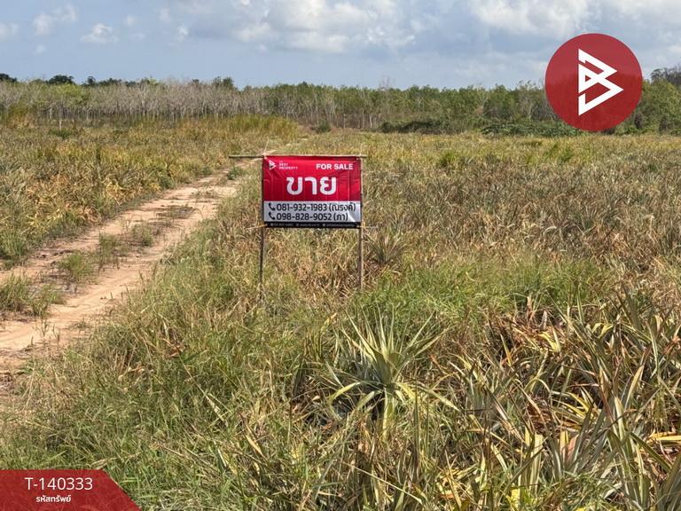 ขายที่ดิน เนื้อที่ 2 ไร่ 2 งาน 1ตร.วา เกาะหลัก ประจวบคีรีขันธ์ – รูปที่ 3