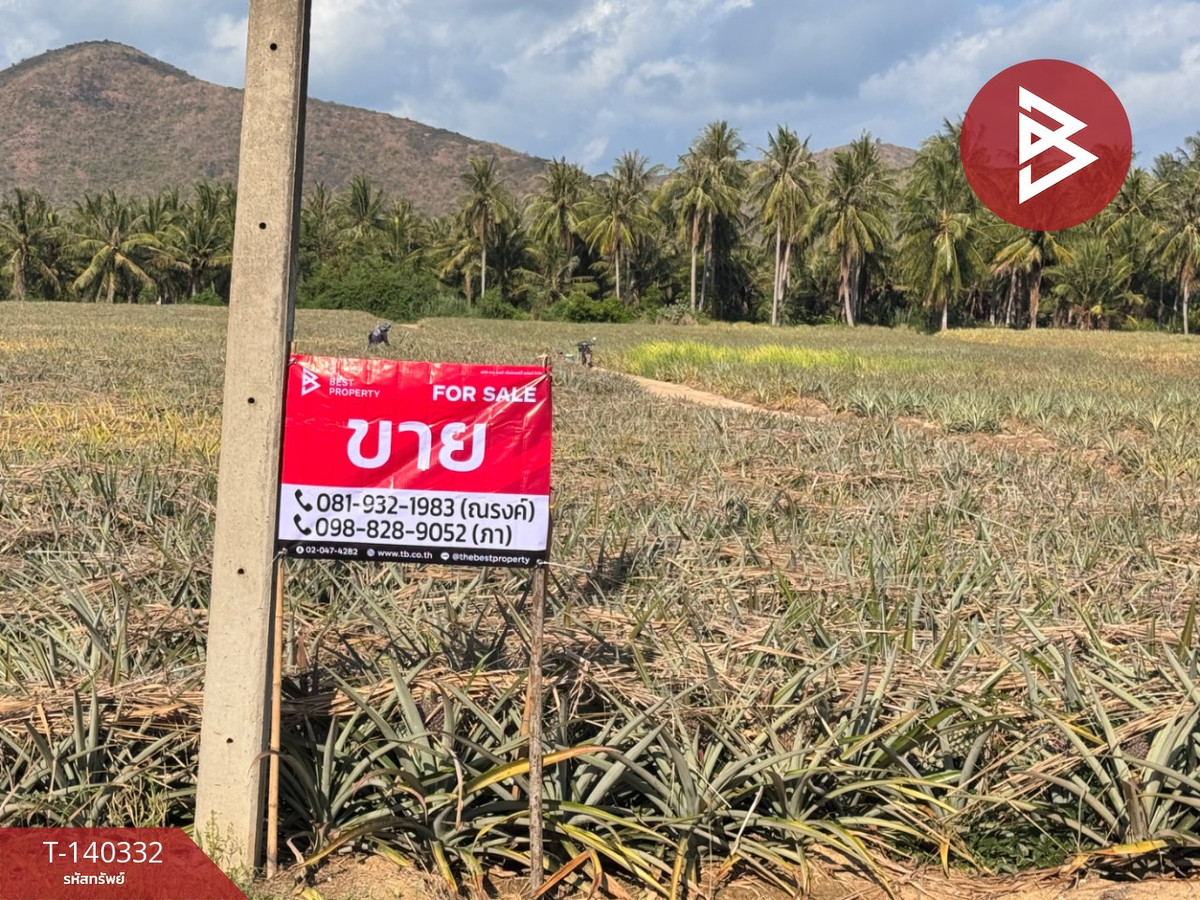 Land for sale, already filled, area 17 rai 83.4 sq m, Ao Noi, Prachuap Khiri Khan. Land for sale, already filled, area 17 rai 83.4 sq m, Ao Noi, Prachuap Khiri Khan.