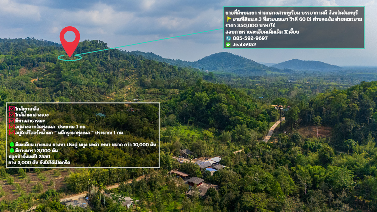 Land for sale on a mountain, Makham District, Chanthaburi, amid durian orchards, good atmosphere. Land for sale on a mountain, Makham District, Chanthaburi, amid durian orchards, good atmosphere.