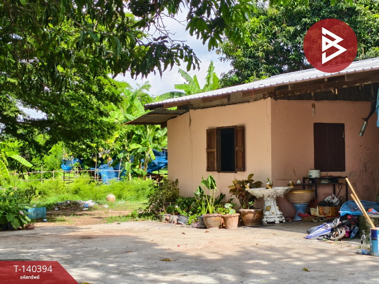 Land for sale, area 2 rai 3 ngan, Don Chedi, Suphanburi. – รูปที่ 4