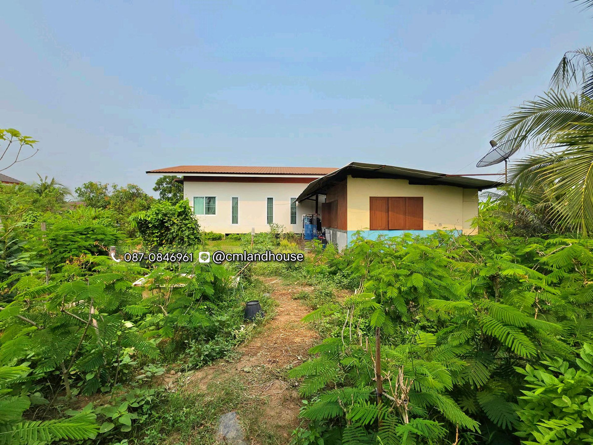 Baan Suan 293 sq m., Mae Faek Subdistrict, San Sai District, near Chedi Mae Krua Market. Near Chiang Mai-Phrao Road, only 300 m., there are buses passing by. – รูปที่ 3