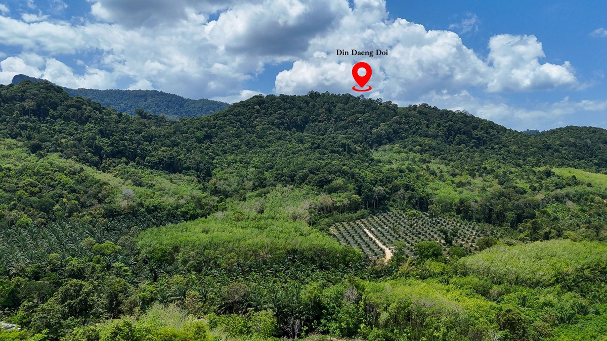 Land at Din Daeng Doi Krabi, กระบี่ – รูปที่ 2