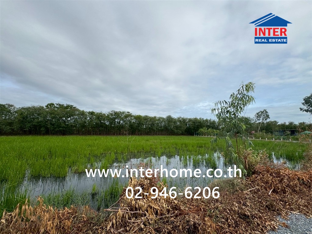 ที่ดินเปล่า 113.5 ตร.ว. ที่ดินเปล่า ซอยศรีกมล ถนนพุทธมณฑลสาย4 ถนนสหพร เมืองนครปฐม นครปฐม – รูปที่ 3