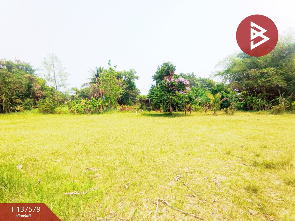 ขายที่ดิน เนื้อที่ 385 ตร.วา พังโคน สกลนคร – รูปที่ 4