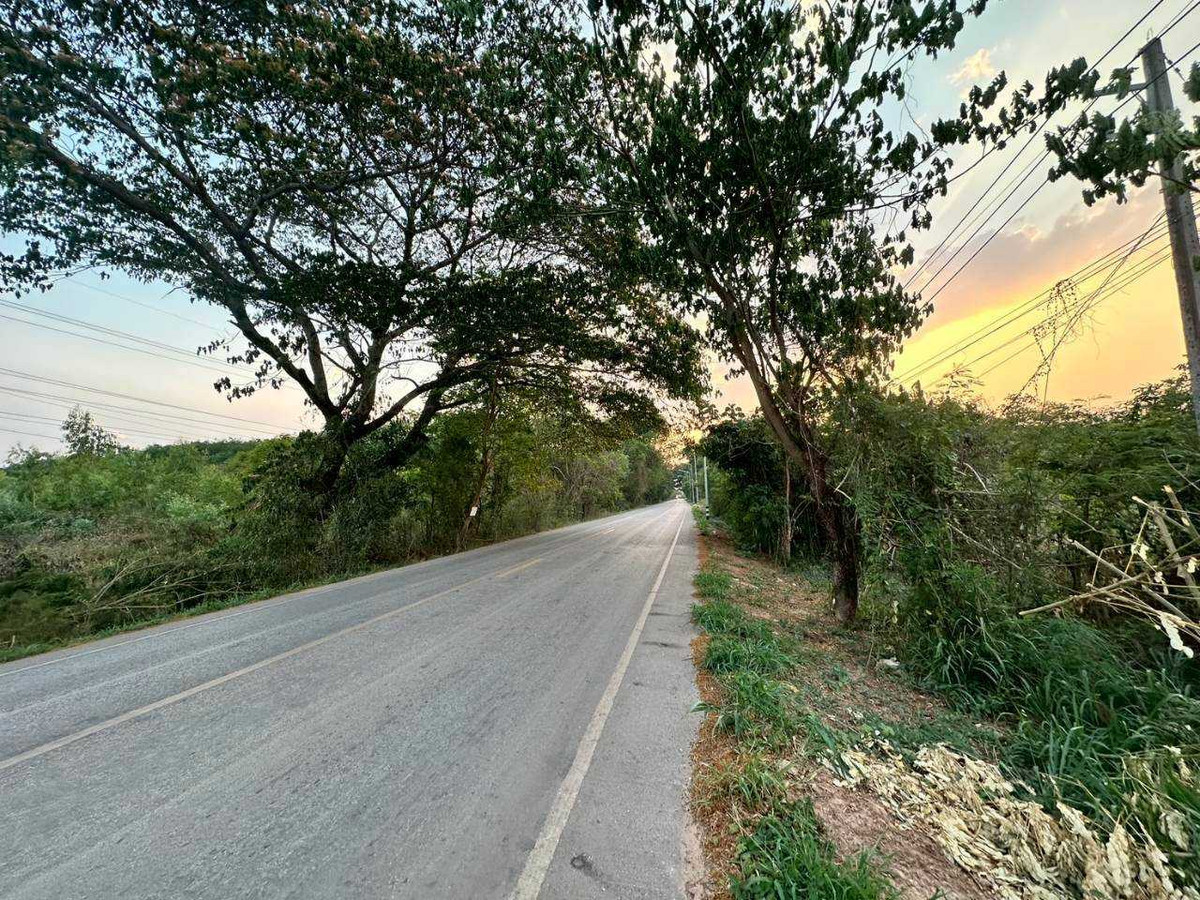 Large plot of land for sale Near Udon Thani city, 33 rai 3 ngan – รูปที่ 4
