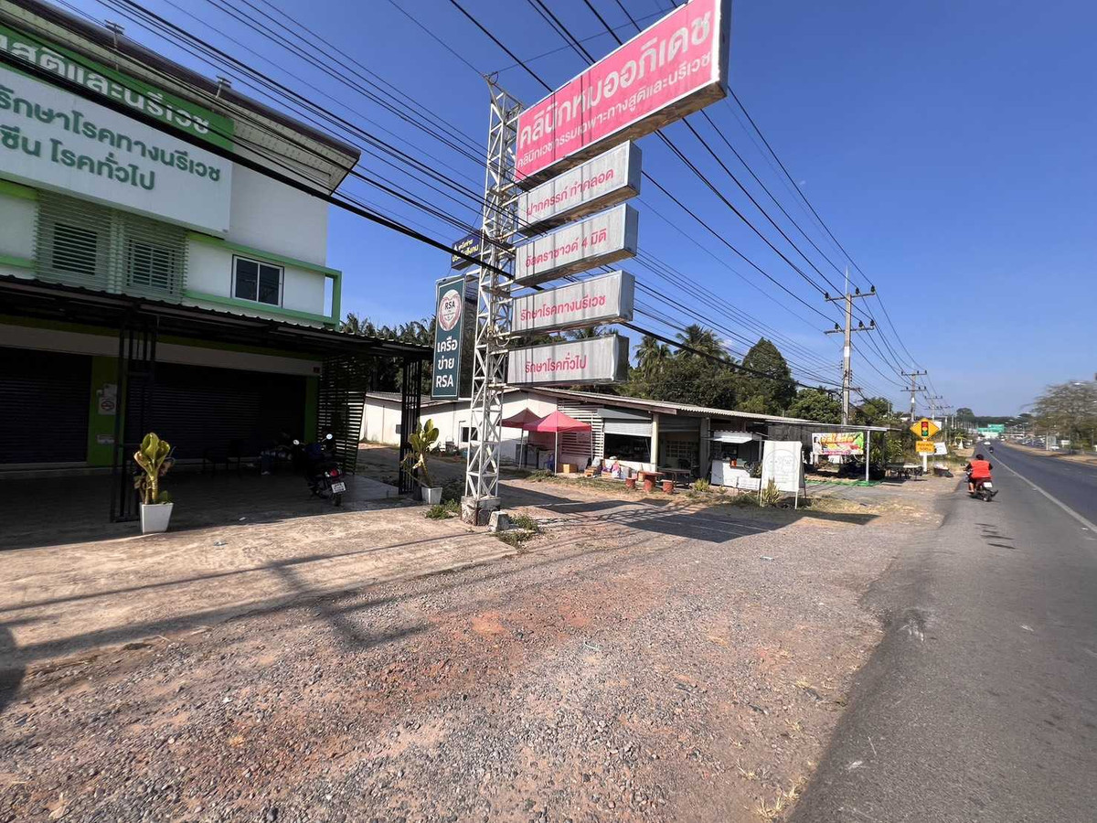 Palm Orchard Land for Sale Main Highway Location Surat Thani – รูปที่ 4