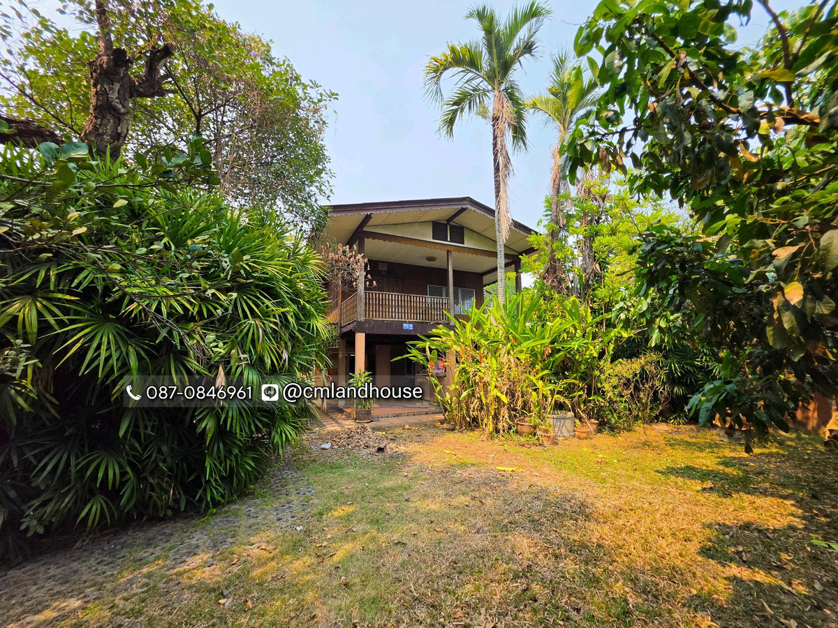 Baan Suan Saraphi, 190 sq m., near the 3rd ring road. Near Mae Hia intersection, 6 km. Suitable for building a house, garden house, restaurant, coffee shop, chic cafe. Baan Suan Saraphi, 190 sq m., near the 3rd ring road. Near Mae Hia intersection, 6 km. Suitable for building a house, garden house, restaurant, coffee shop, chic cafe.
