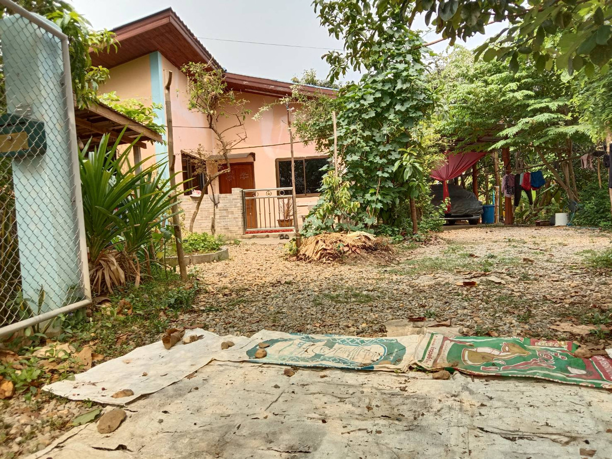95414 - Land and house for sale. and agricultural crop fields, 4 rai, 1 ngan, 43.5 square wah, Ban Lao Subdistrict, Sung Men District, Phrae Province, suitable for investment in agriculture, solar farms, residences, ready to move in immediately. 95414 - Land and house for sale. and agricultural crop fields, 4 rai, 1 ngan, 43.5 square wah, Ban Lao Subdistrict, Sung Men District, Phrae Province, suitable for investment in agriculture, solar farms, residences, ready to move in immediately.
