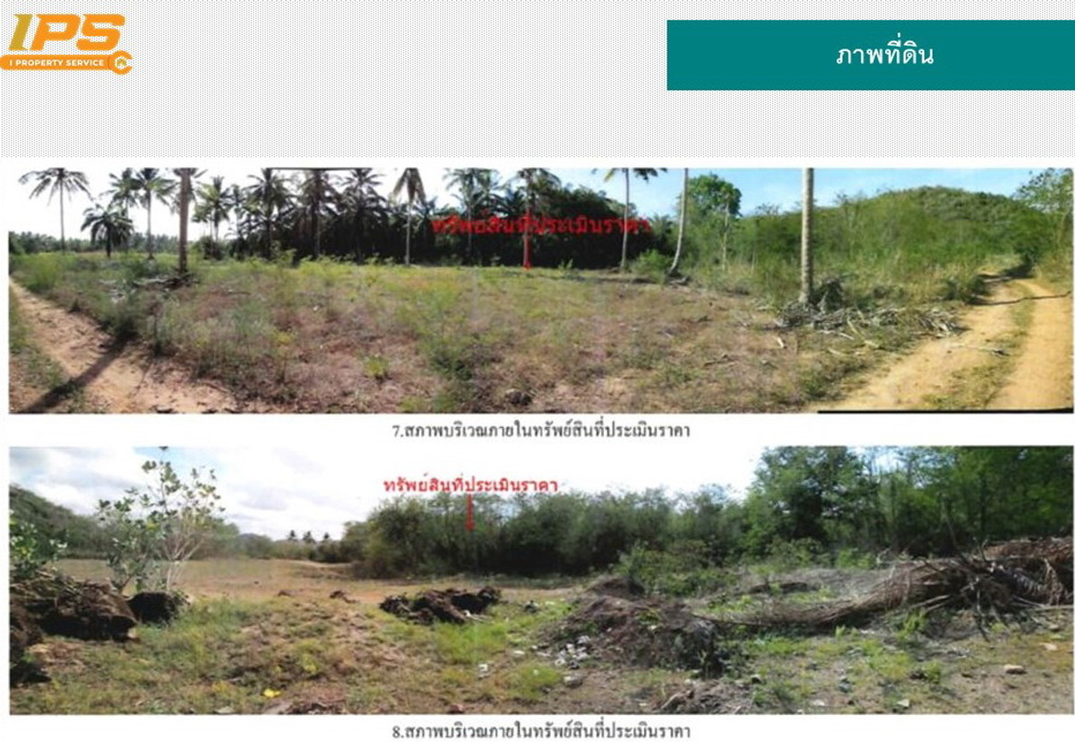 ขายที่ดิน 50-0-80 ไร่ ต.พงศ์ประศาสน์ อ.บางสะพาน จ.ประจวบคีรีขันธ์ – รูปที่ 3