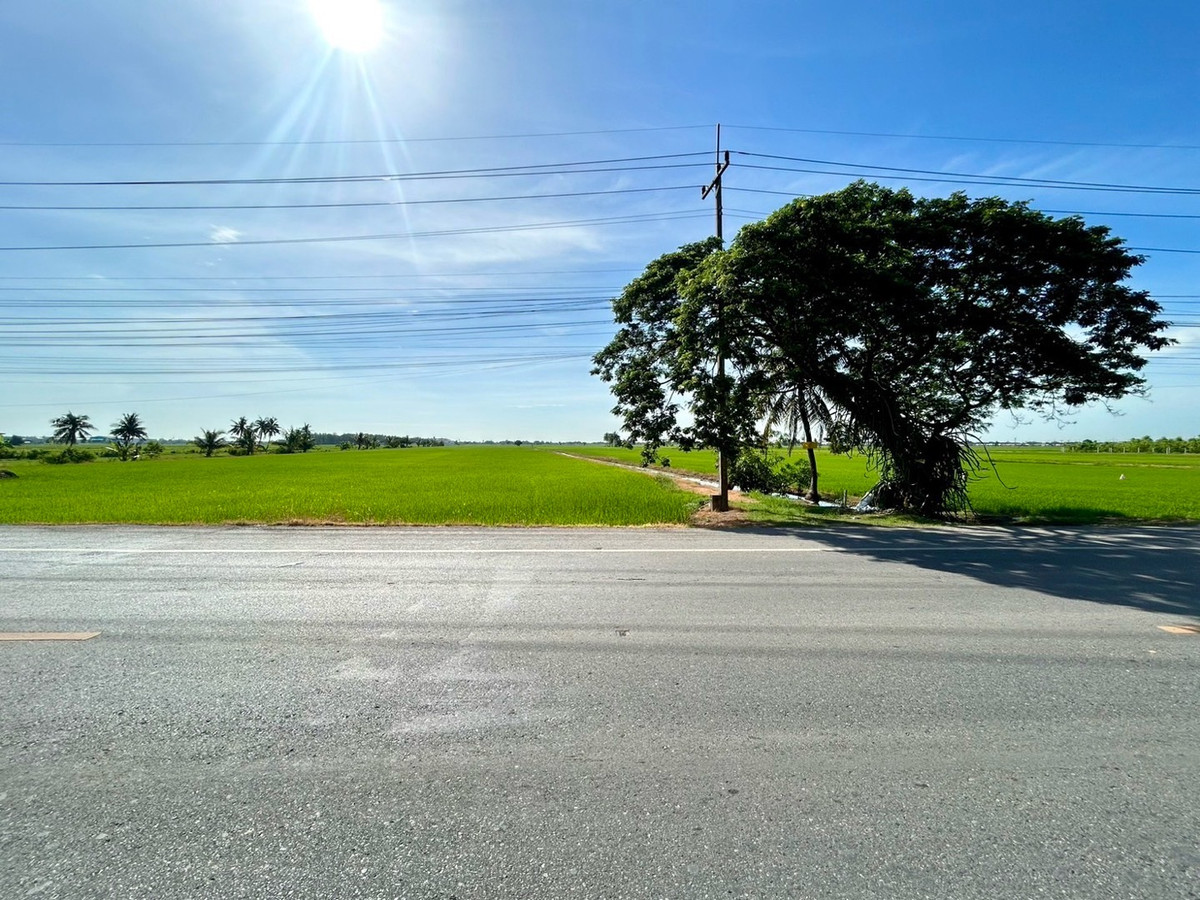 Rare good item, Khlong 8 land, area 25 rai 1 ngan 93.6 square wa. – รูปที่ 2