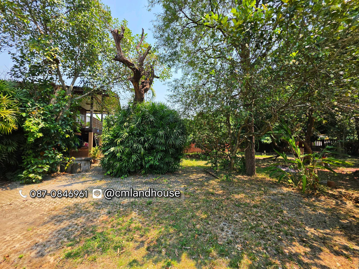Baan Suan Saraphi, 190 sq m., near the 3rd ring road. Near Mae Hia intersection, 6 km. Suitable for building a house, garden house, restaurant, coffee shop, chic cafe. – รูปที่ 4