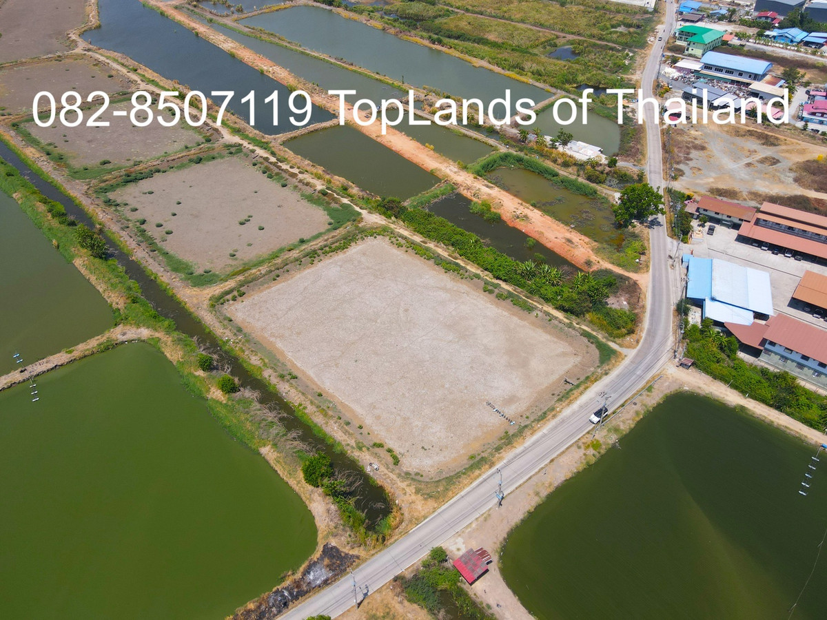 ขาย ที่ดิน บางบ่อ จ.สมุทรปราการ ถนนบานา-ตราด เนื้อที่ 60 ไร่ เหมาะสร้าง โรงงาน โกดัง และคลังสินค้า – รูปที่ 3
